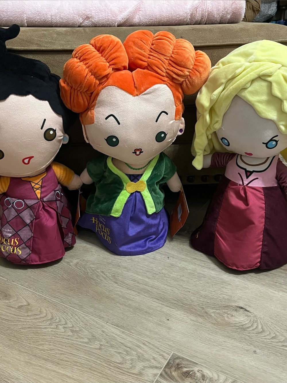 Disney Hocus Pocus Sanderson Sisters Door Greeters